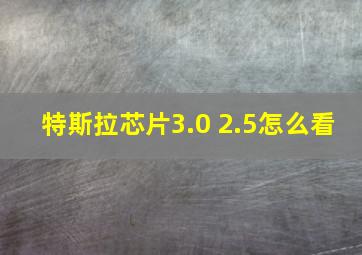 特斯拉芯片3.0 2.5怎么看